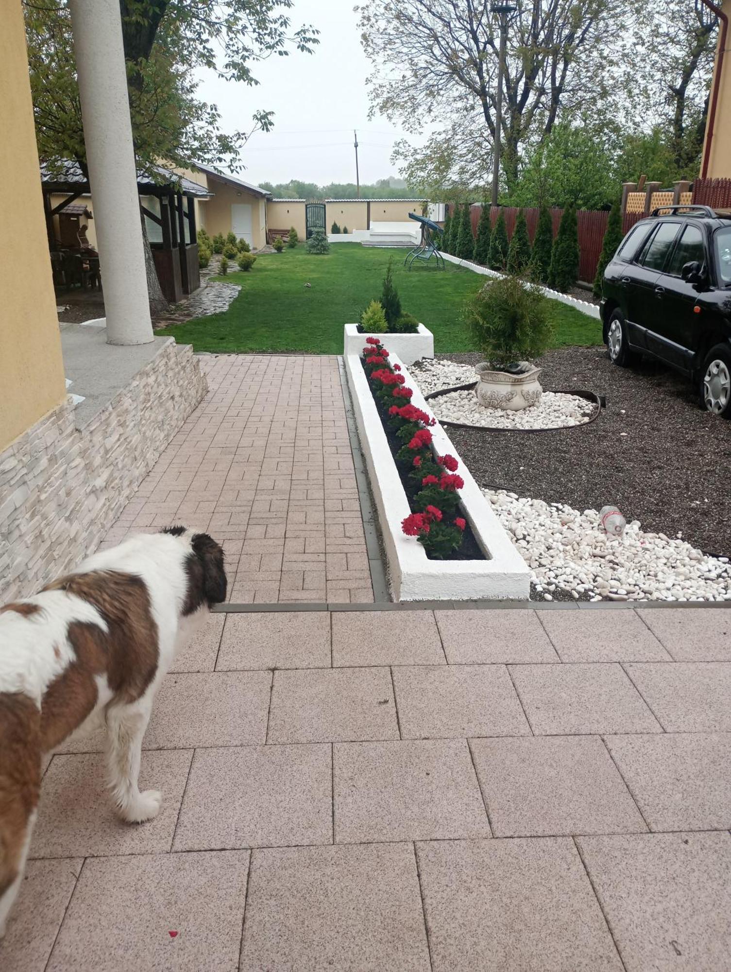 Izabella Guest House Сэчеле Экстерьер фото