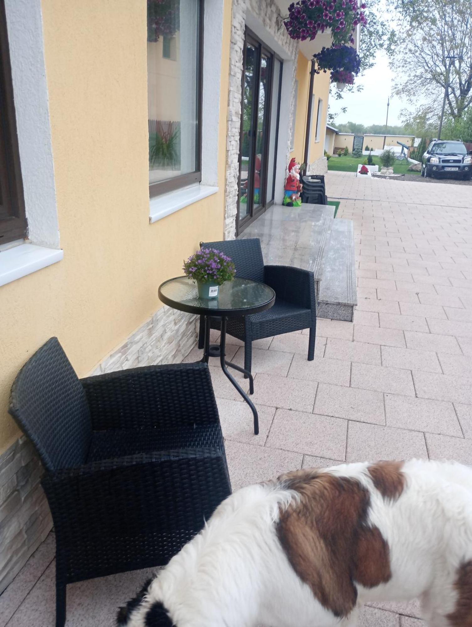 Izabella Guest House Сэчеле Экстерьер фото